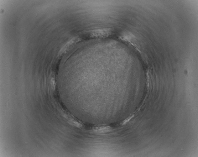 X0000070400716200606231802