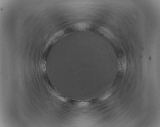 X0000070400718200606231802