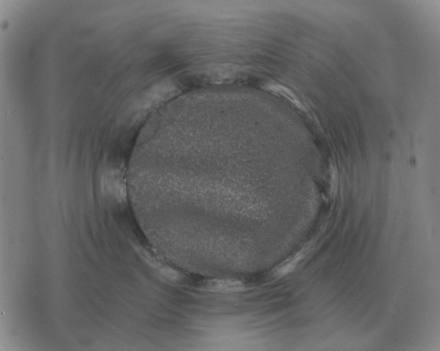 X0000070400719200606231802