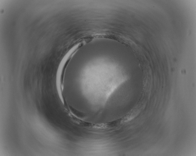 X0000070400720200606231802