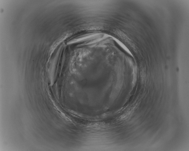 X0000070400721200606231801