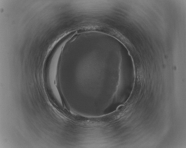 X0000070400722200606231802