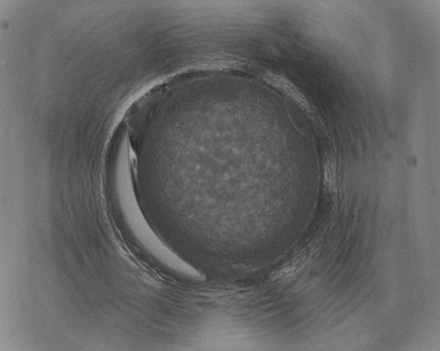 X0000070400724200606231802