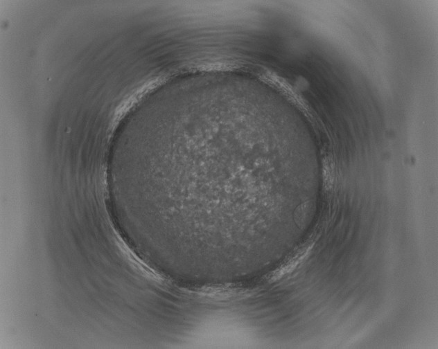 X0000070400725200606231802