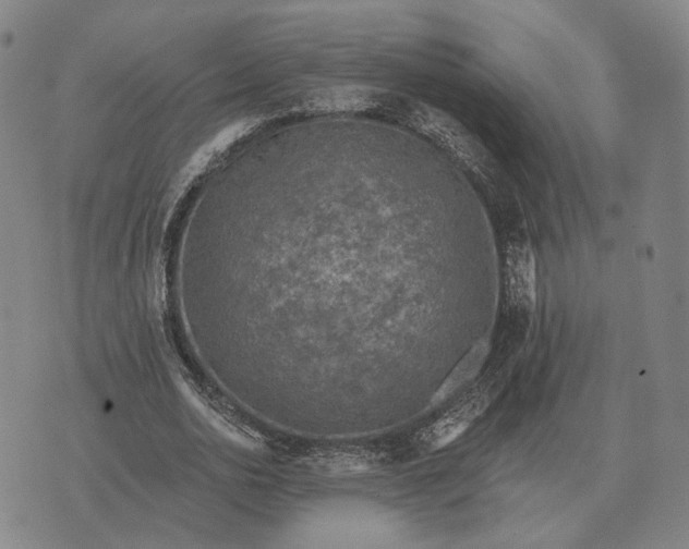 X0000070400726200606231802