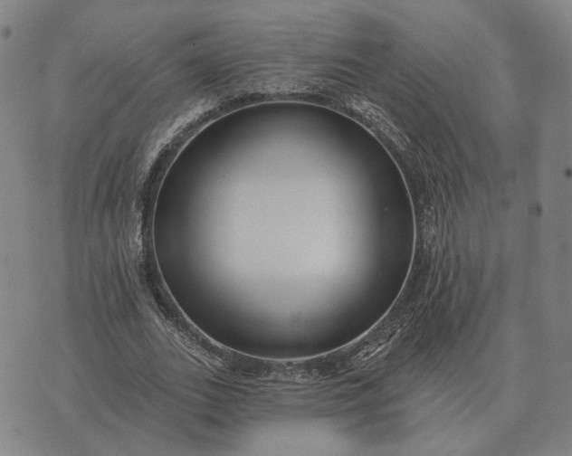 X0000070400727200606231802