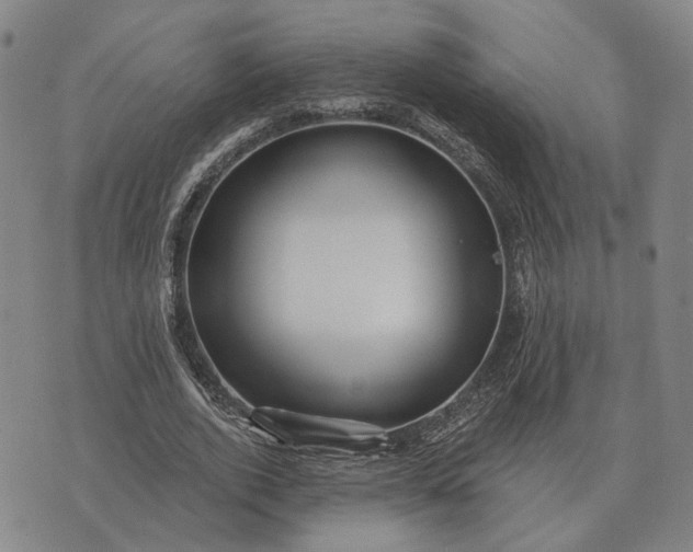 X0000070400728200606231802