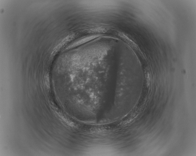 X0000070400729200606231802