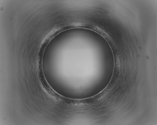 X0000070400730200606231802