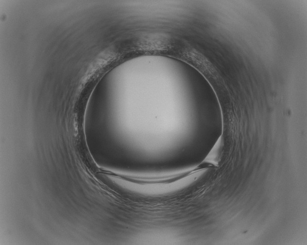 X0000070400731200606231802