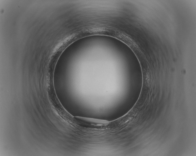 X0000070400732200606231802