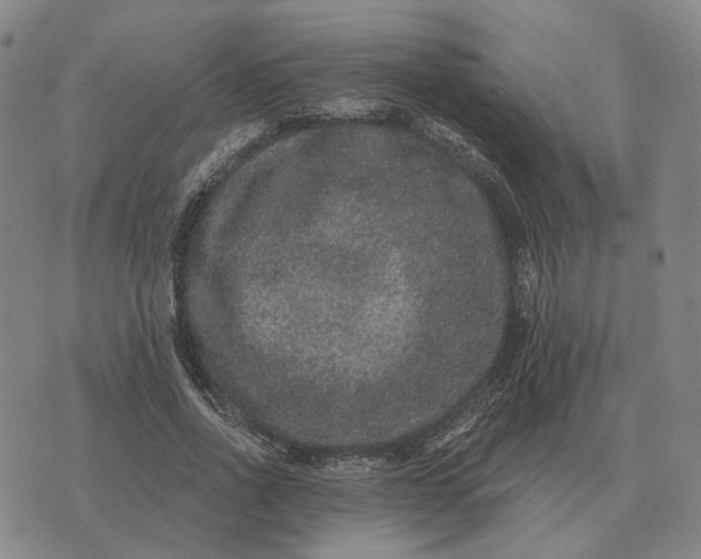 X0000070400734200606231802