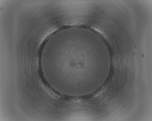 X0000070400735200606231802