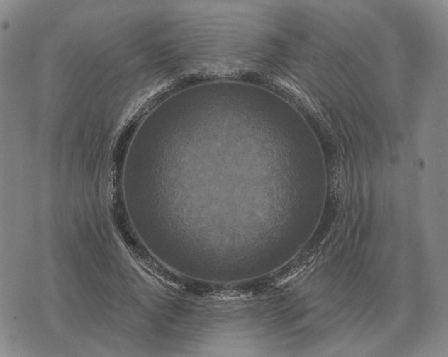 X0000070400736200606231802