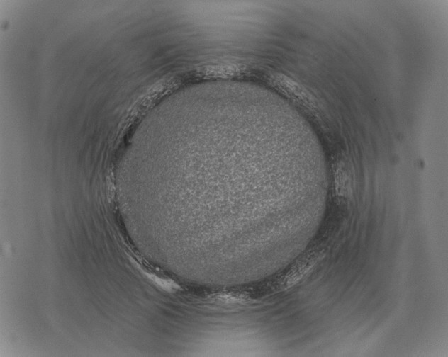 X0000070400737200606231802