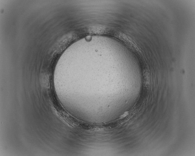 X0000070400738200606231802