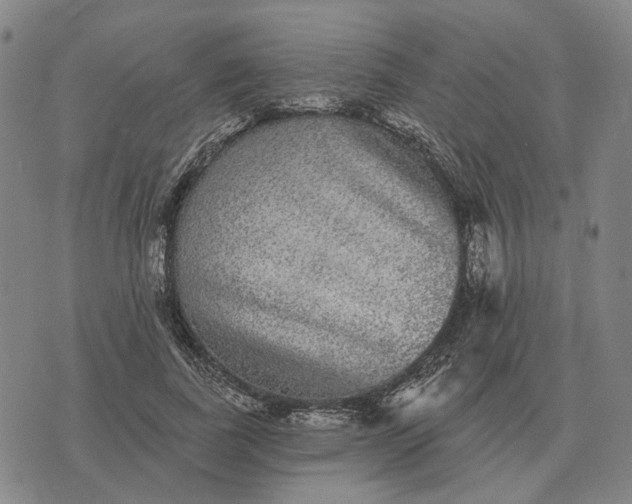 X0000070400739200606231802