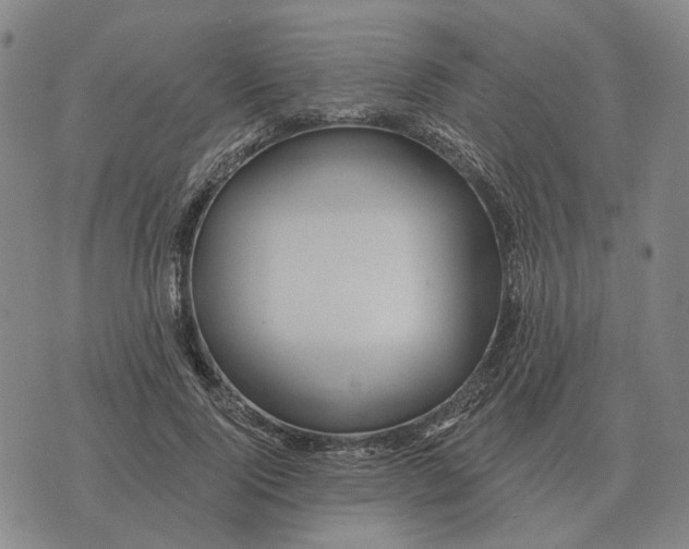 X0000070400740200606231802