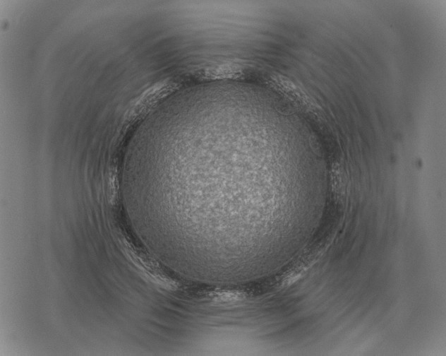 X0000070400741200606231802