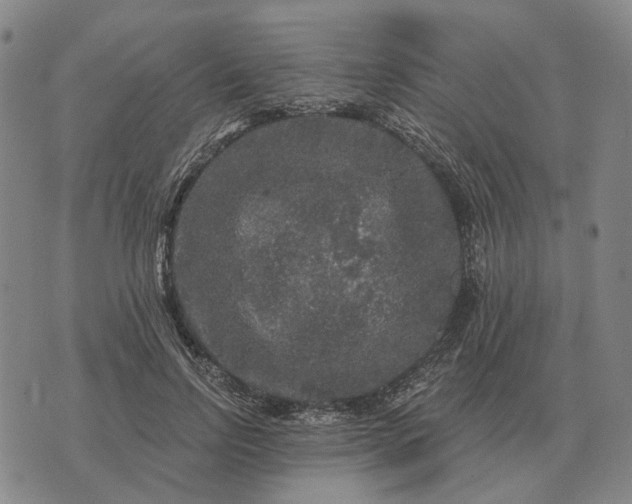 X0000070400742200606231802