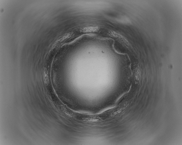 X0000070400743200606231802