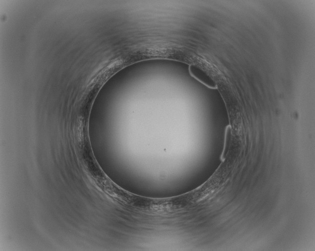 X0000070400744200606231802