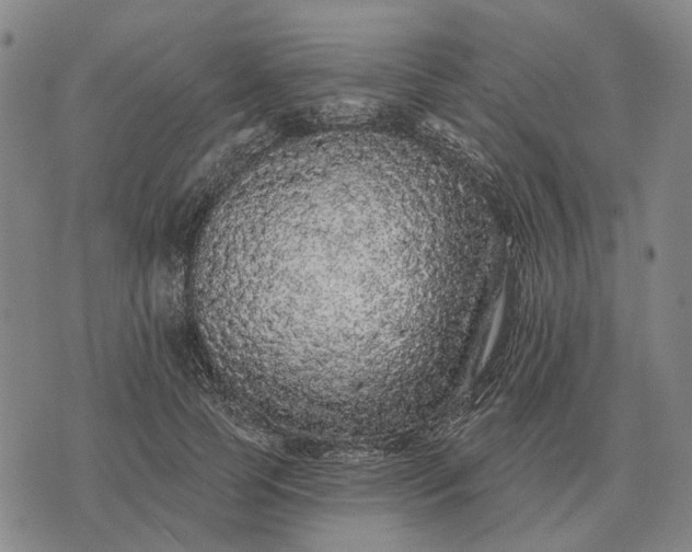 X0000070400745200606231802