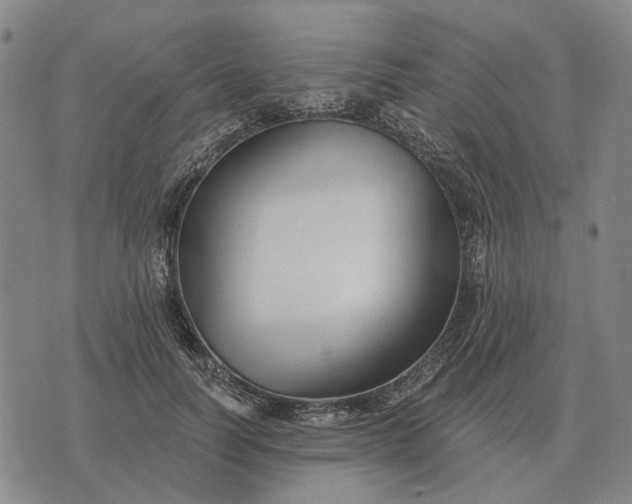 X0000070400746200606231802