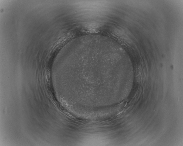 X0000070400747200606231802