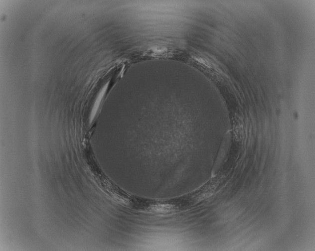 X0000070400748200606231802