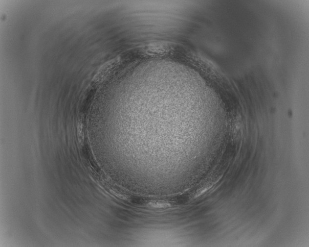 X0000070400749200606231802