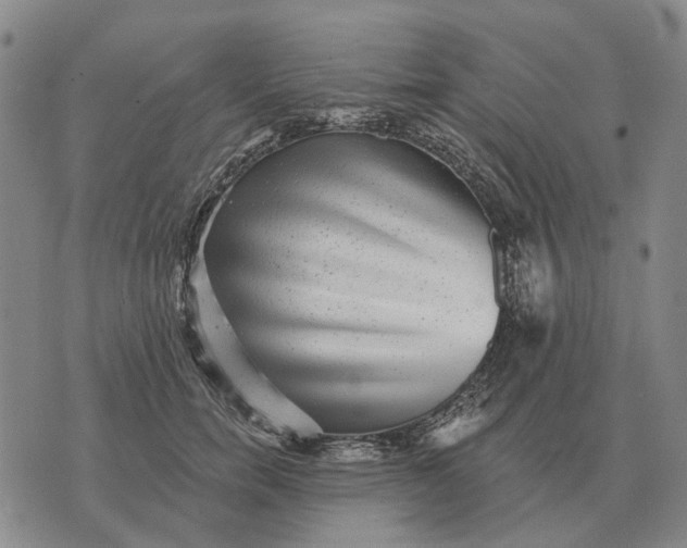 X0000070400750200606231802