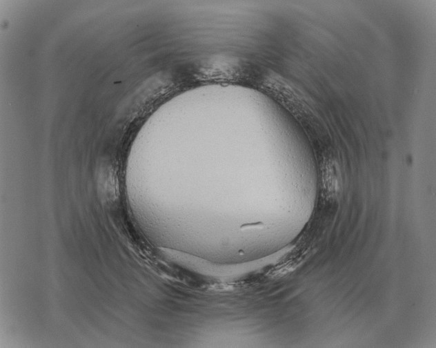 X0000070400751200606231802