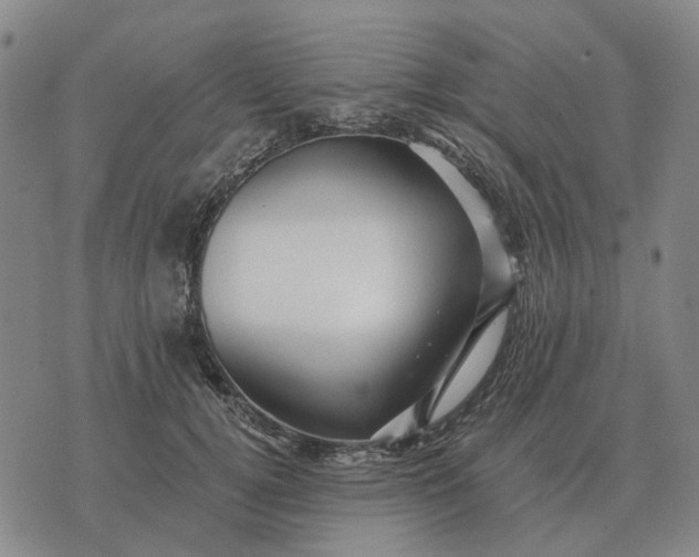 X0000070400752200606231802