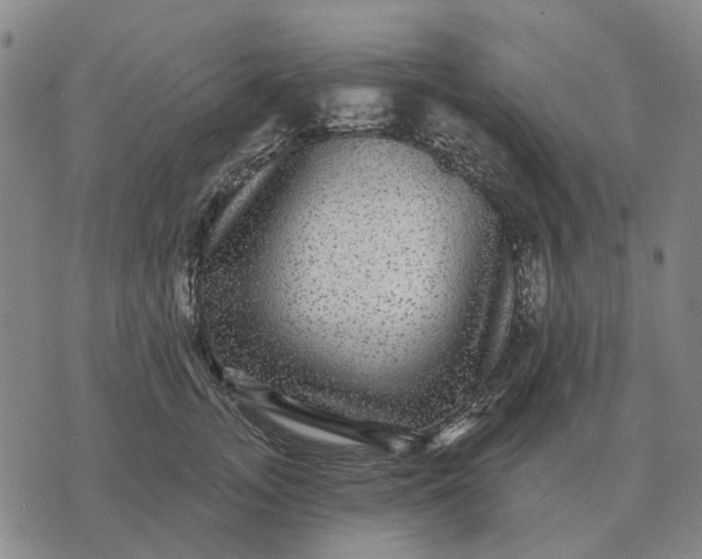 X0000070400755200606231802