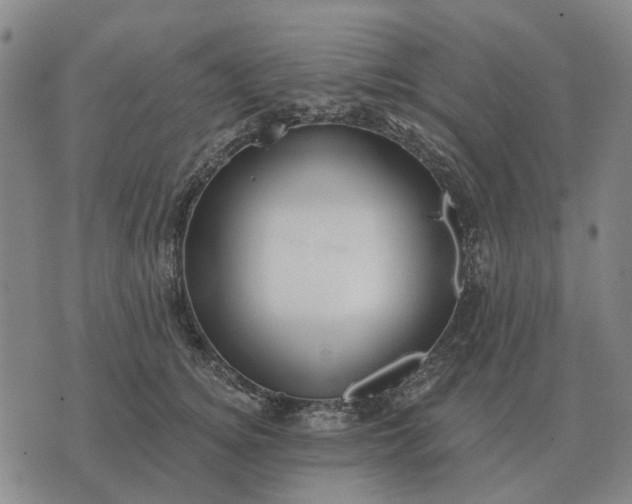 X0000070400756200606231802