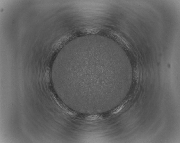 X0000070400757200606231802