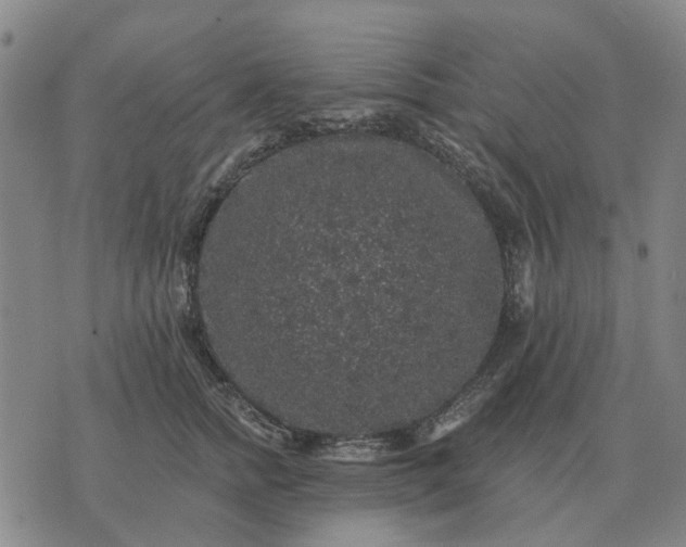 X0000070400758200606231802