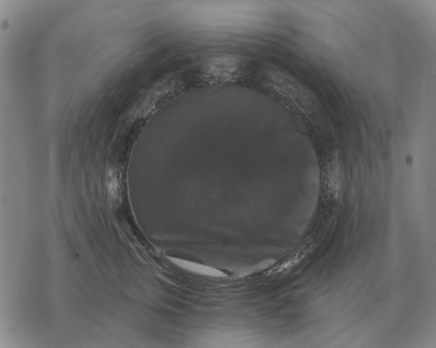 X0000070400759200606231802