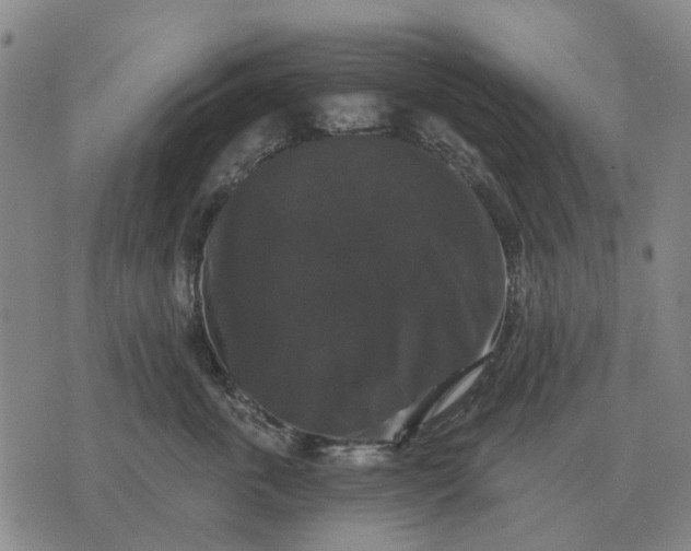 X0000070400763200606231802