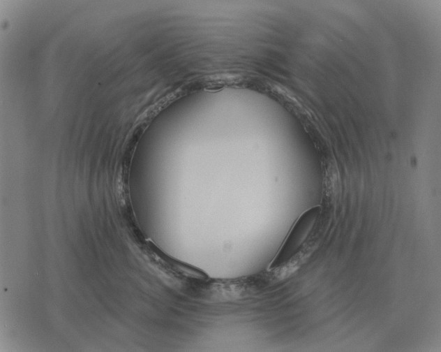 X0000070400764200606231802