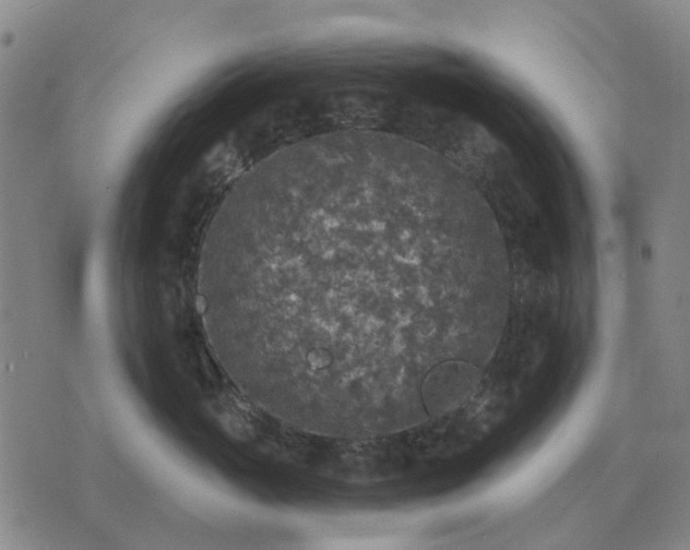 X0000070400765200606231802