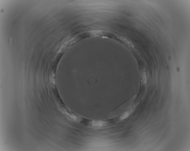 X0000070400766200606231802