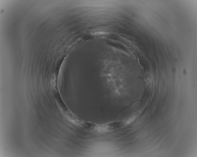 X0000070400767200606231802