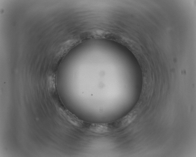 X0000070400768200606231802