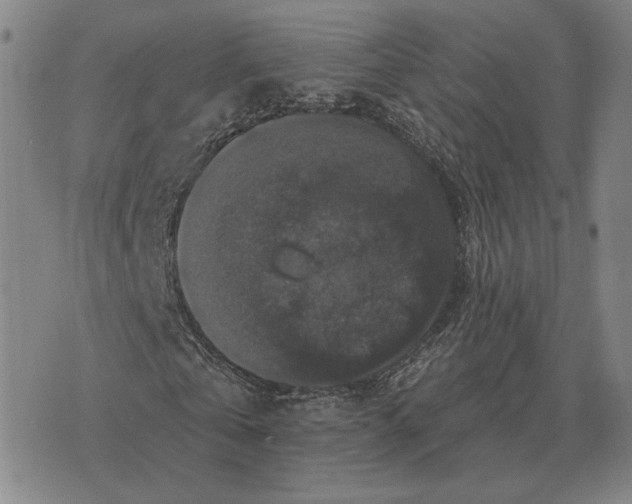 X0000070400769200606231801