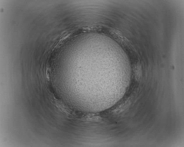 X0000070400770200606231801