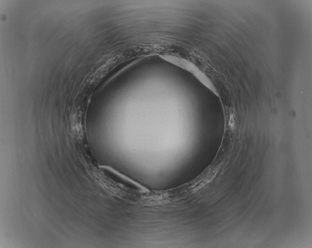 X0000070400771200606231801