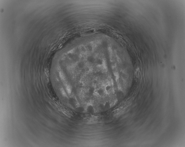 X0000070400772200606231801