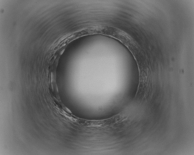 X0000070400773200606231801